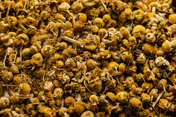 Is Valerian an Effective Sleep Aid? Benefits, Safety & Science