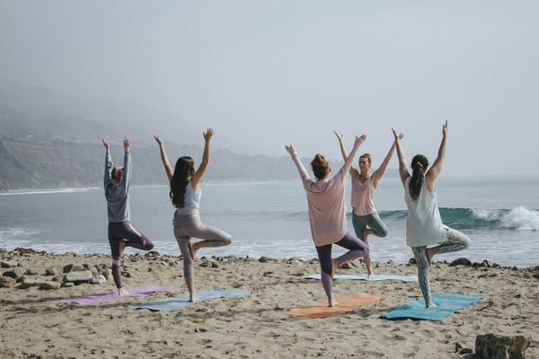 Women's Health Supplements: Top Choices for Hormonal Balance